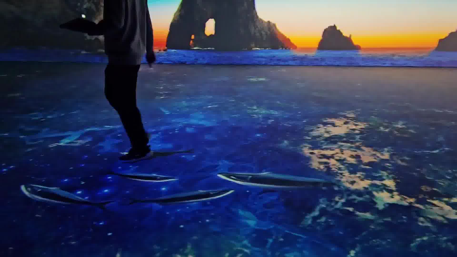 돌고래 인터랙티브 플로어